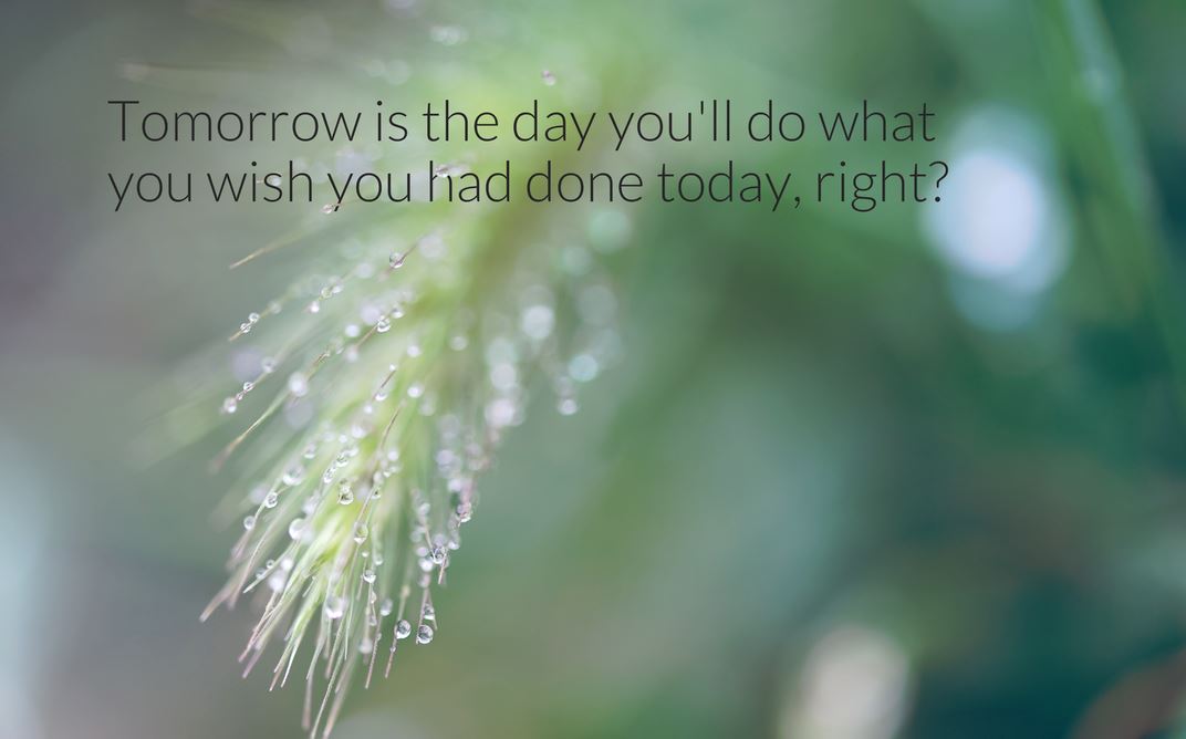 Image of a plan with dew on it and the quote: "Tomorrorw is the day you'll do what you wish had done today, right?
